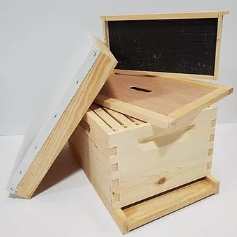 Complete bee Hive - 8 Frame for beekeeping