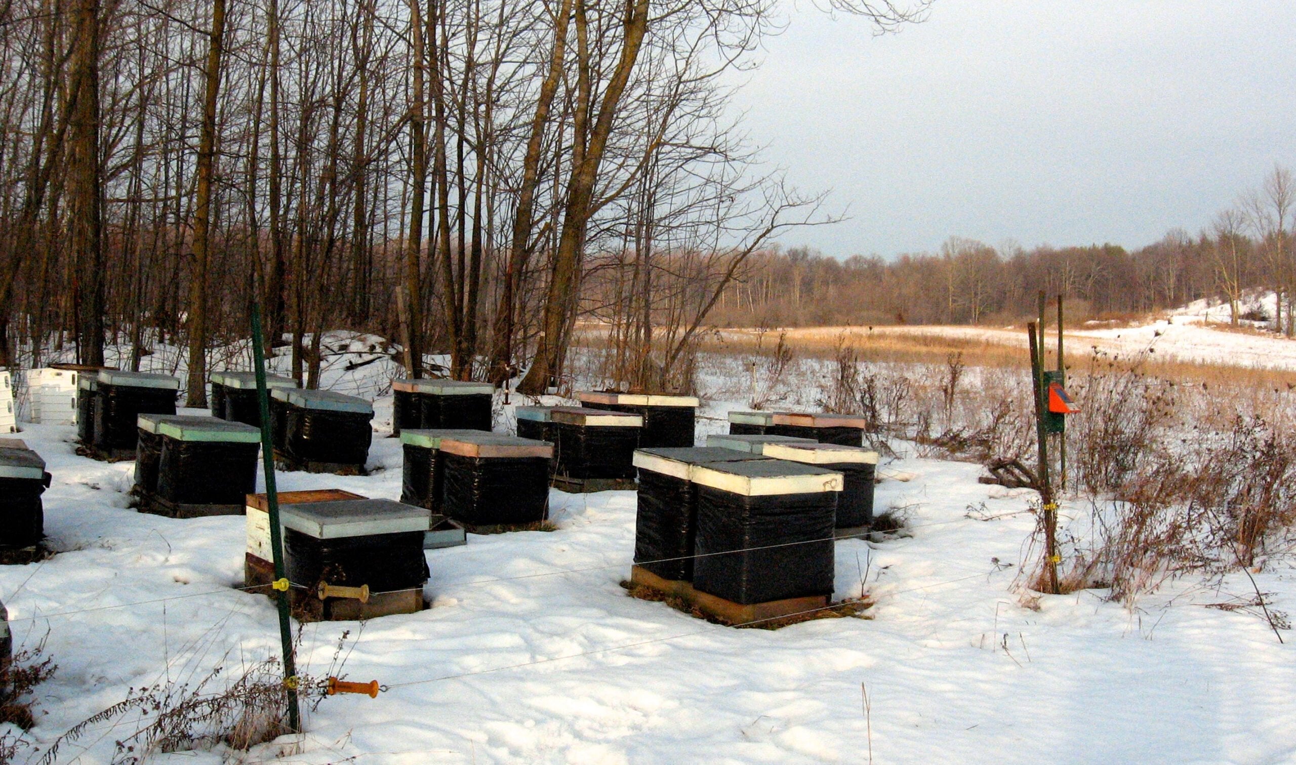 Bee Cozy Winter Hive Wrap For beekeeping